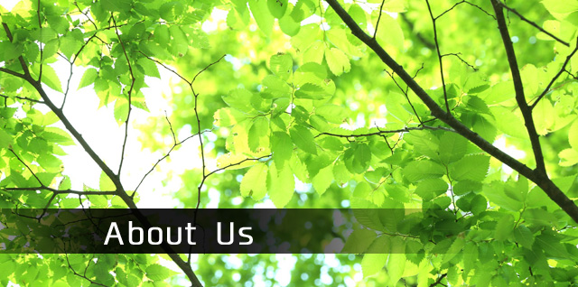 About Us